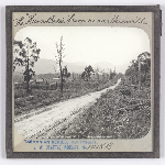 Cover image for Photograph - Glass slide - Huon Belle / J W Beattie Tasmanian Series 1145b