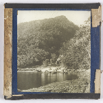 Cover image for Photograph - Glass slide - bush [waterfall]