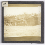 Cover image for Photograph - Glass slide - Wool shed