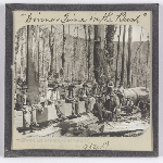 Cover image for Photograph - Glass slide - Timber workers. "Dinner time in the bush" / J.W. Beattie Tasmanian Series No.954B