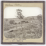 Cover image for Photograph - Glass slide - Victoria Valley [farm and homestead, horse and cart on road]