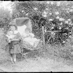Cover image for Photograph - Glass negative - [Two infants - baby in wicker pram - young girl standing holding doll]