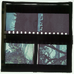 Cover image for Photograph - Glass slide - Composite - 4 x 35mm transparencies (colour)