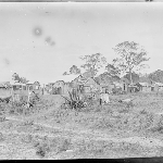 Cover image for Photograph - Negative - Outbuildings [workers' huts?] [non-Tasmanian ?]
