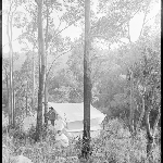 Cover image for Photograph - Negative - Camping [two young men and a man beside tent in the bush]