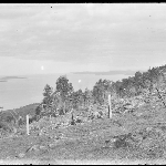 Cover image for Photograph - Glass negative - Parish picnic [view of Derwent estuary from Western shore]