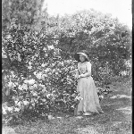 Cover image for Photograph - Negative - Woman in garden