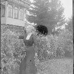 Cover image for Photograph - Negative - Garden [woman in garden picking flowers]
