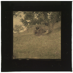 Cover image for Photograph - Glass slide - Group under tree on hillside