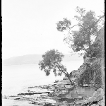 Cover image for Photograph - Glass negative - Parish picnic [Rock cliff and foreshore beside river ]