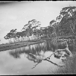 Cover image for Photograph - Glass negative - Parish picnic [View of unidentified river]