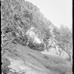 Cover image for Photograph - Glass negative - Mount Wellington [woman sitting of slope of Mt Wellington]