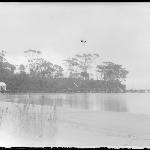 Cover image for Photograph - Glass negative - South Bruny Island lighthouse [unidentified jetty and bay]