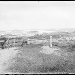 Cover image for Photograph - Glass negative - Horse and wagon [road overlooking ocean.  Currie, King Island?]