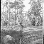 Cover image for Photograph - Glass negative - Farm [Group of men and women on country road]