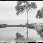 Cover image for Photograph - Glass negative - Farm [waterhole with river in background]