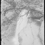 Cover image for Photograph - Glass negative - Farm [unidentified waterfall]
