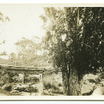 Cover image for Photograph - Maria Island - small bridge over the Darlington?