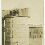 Cover image for Photograph - Maria Island - Cement works