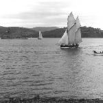 Cover image for Photograph -  Hobart Regatta