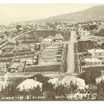 Cover image for Photograph - West Hobart from Mt Stuart