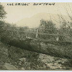 Cover image for Photograph - Log bridge over New Town Creek
