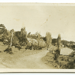 Cover image for Photograph - Maria Island Main Street