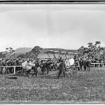 Cover image for Photograph - Delfosse Badgery Bi-plane at show grounds Hobart (1) / photographer W J Little [glass plate negative]