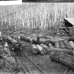 Cover image for Photograph - Unidentified -[ log hauling with horses]