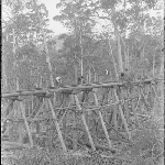 Cover image for Photograph - Unidentified - [railway bridge - possibly Geeveston tramway or Hopetoun tramway]