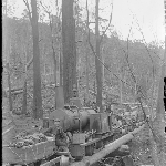 Cover image for Photograph - Unidentified - [logging railway]