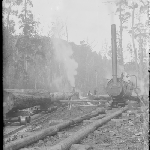 Cover image for Photograph - Unidentified [construction of mill/mine/railway]