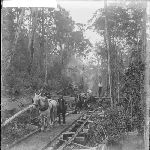 Cover image for Photograph - Unidentified [horse drawn logging]