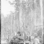 Cover image for Photograph - Unidentified - milling activity