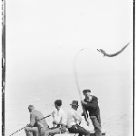 Cover image for Photograph - Couta fishing - fishermen catching fish [glass plate]