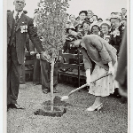 Cover image for Photograph - Royal visit - Queen and Duke planting trees
