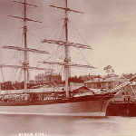 Cover image for Photograph - Side view of the barque Ethel moored at Princes Wharves with Salamanca Place in background