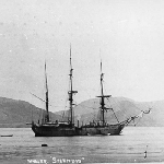 Cover image for Photograph (11 views) - Whaler "Splendid"; Sailing ships in Hobart port with New Wharf & Battery Point in background; scrimshaw
