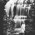 Cover image for Photograph - Russell Falls, National Park.