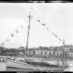 Cover image for Photograph - Hobart - Domain - yacht off the foreshore - shows  a line of pine trees (or may be Eastern Shore?)