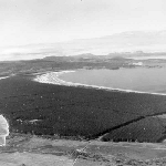 Cover image for Photograph - Seven Mile Beach-view of pine plantations.