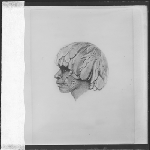 Cover image for Photograph - Tasmanian aboriginal - Manalargenna,  a native of ?  tribe - watercolour by Thomas Bock for Lady Jane Franklin  (copy of original)