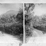 Cover image for Photograph - Lenah Valley Road looking west - stereoscope