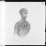 Cover image for Photograph - Tasmanian aboriginal - Jimmy - East Coast tribe - semi-profile watercolour by Bock for Lady Franklin -