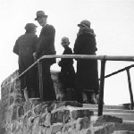 Cover image for Photograph - Mt Wellington - Lookout at Pinnacle