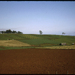 Cover image for Photograph - 35mm colour transparency 6287 - Forthside Vegetable research Station. Propery 6 months after purchase - some field research with green peas had already commenced