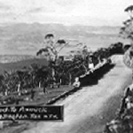 Cover image for Photograph - Hobart - Mt Wellington - Road to Pinnacle. Taken by "H.J.H."