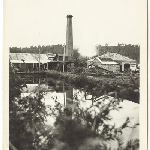Cover image for Photograph - Chesterman's chimney, possibly at Raminea, Port Esperance (See TM 13/6/1903 p23)