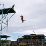 Cover image for Photograph - Colour slide - Hobart Regatta