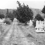 Cover image for Photograph - Queenborough Cemetery, Sandy Bay-before demolition.